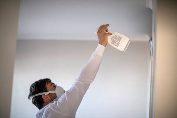 Best Home Mold Removal  in Standish, MI