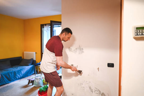 Best Mold Testing  in Standish, MI